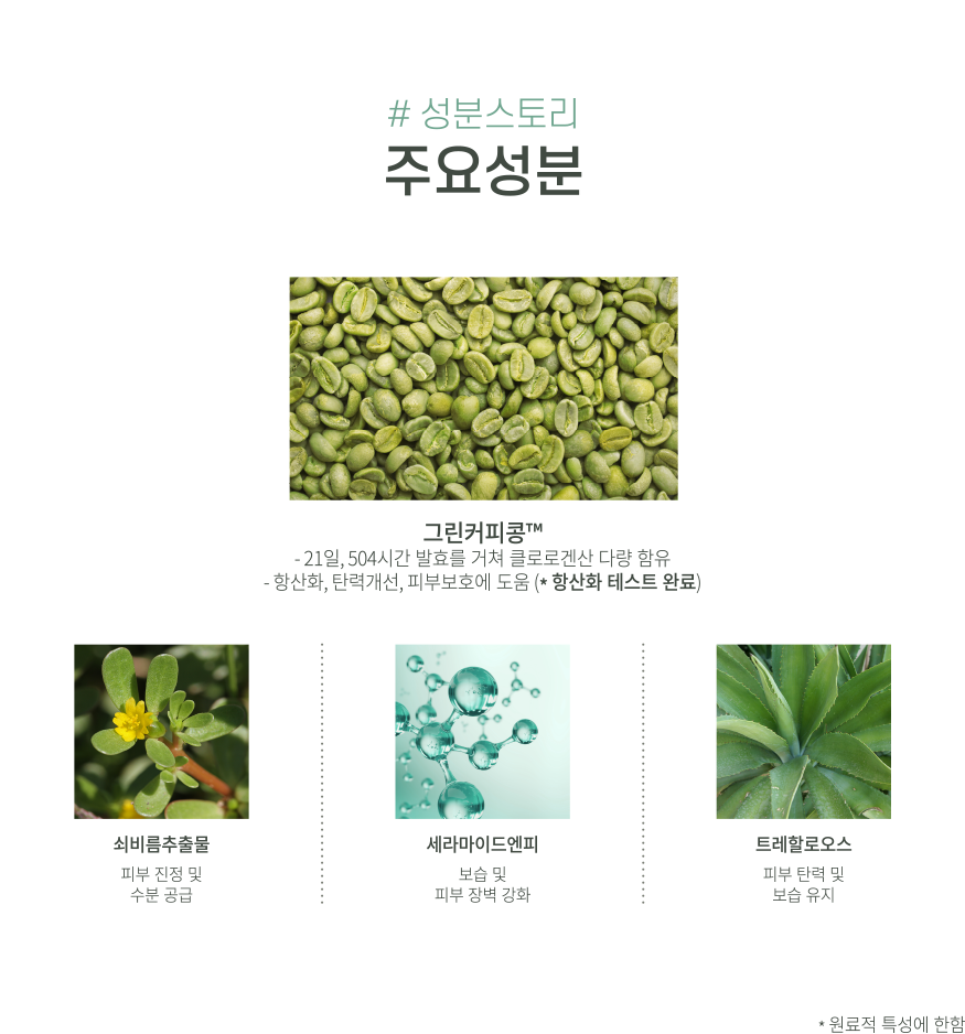 주요성분
