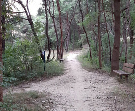 카베엘라 안티스트레스 마스크