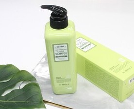 지성샴푸 추천, 더마 시카 그린티 쿨 샴푸로 시원하게 