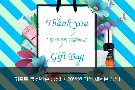 Thank you x gift bag 